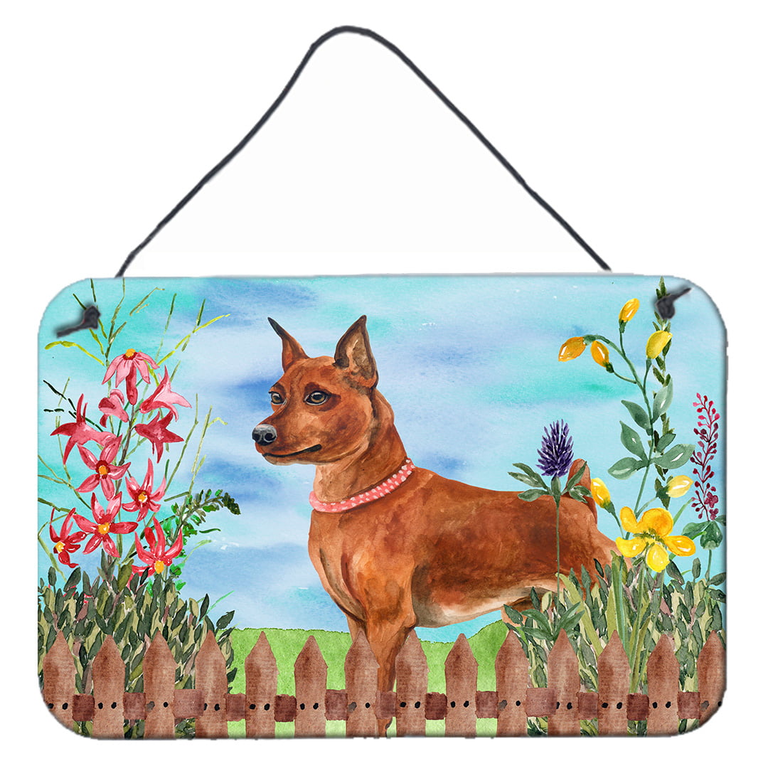 Miniature Pinscher Spring Wall or Door Hanging Prints, 8 x 12 in.