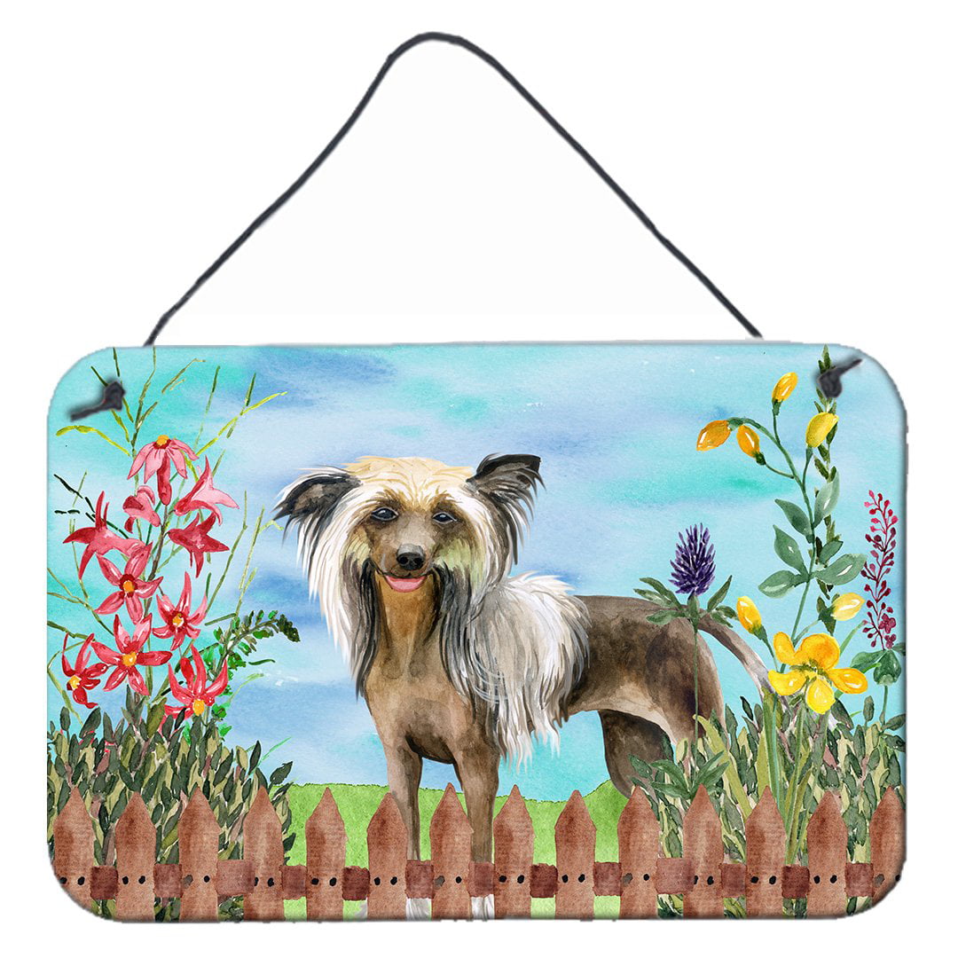 Chinese Crested Spring Wall or Door Hanging Prints, 8 x 12 in.