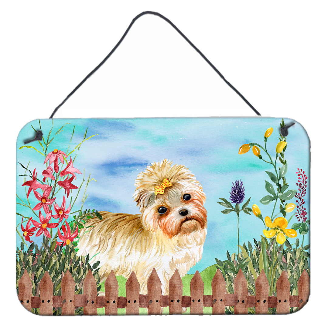 Morkie Spring Wall or Door Hanging Prints, 8 x 12 in.