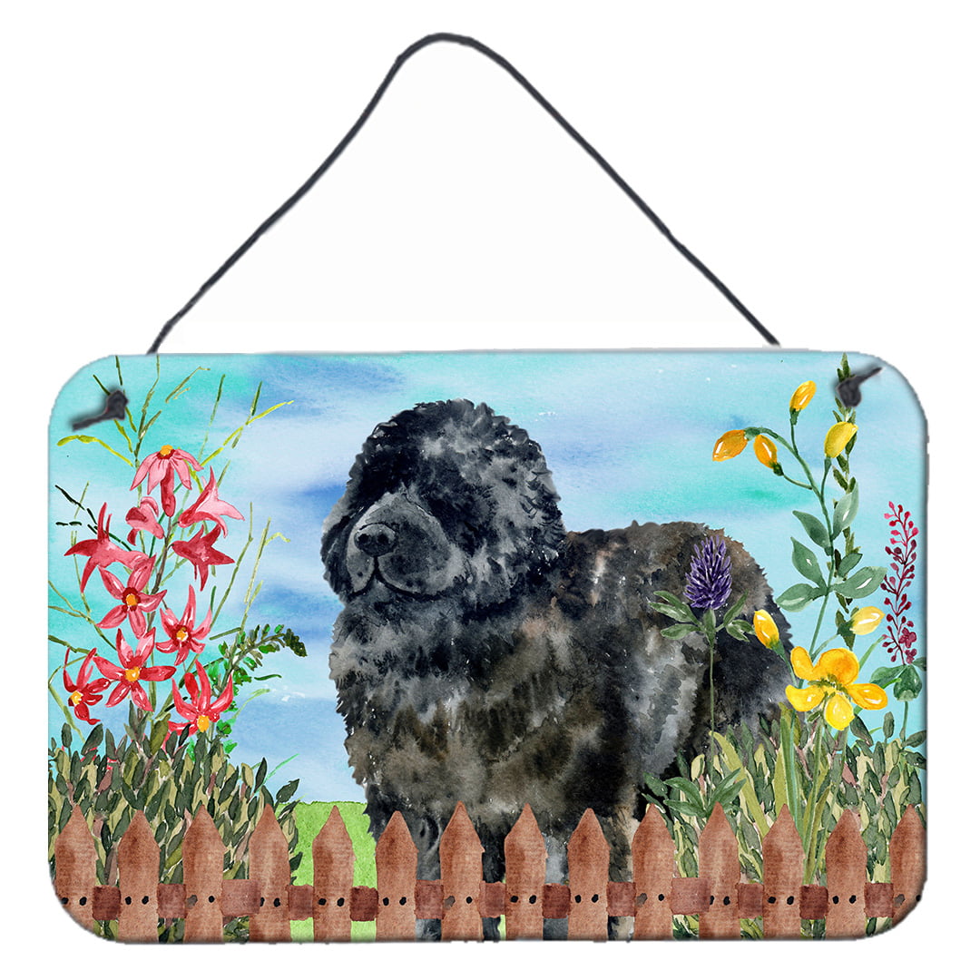 Newfoundland Spring Wall or Door Hanging Prints, 8 x 12 in.