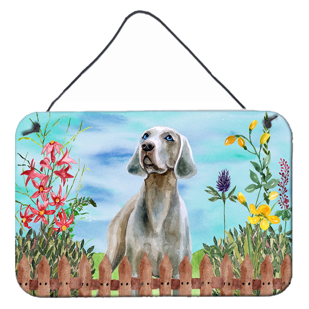 Weimaraner Spring Wall or Door Hanging Prints, 8 x 12 in.