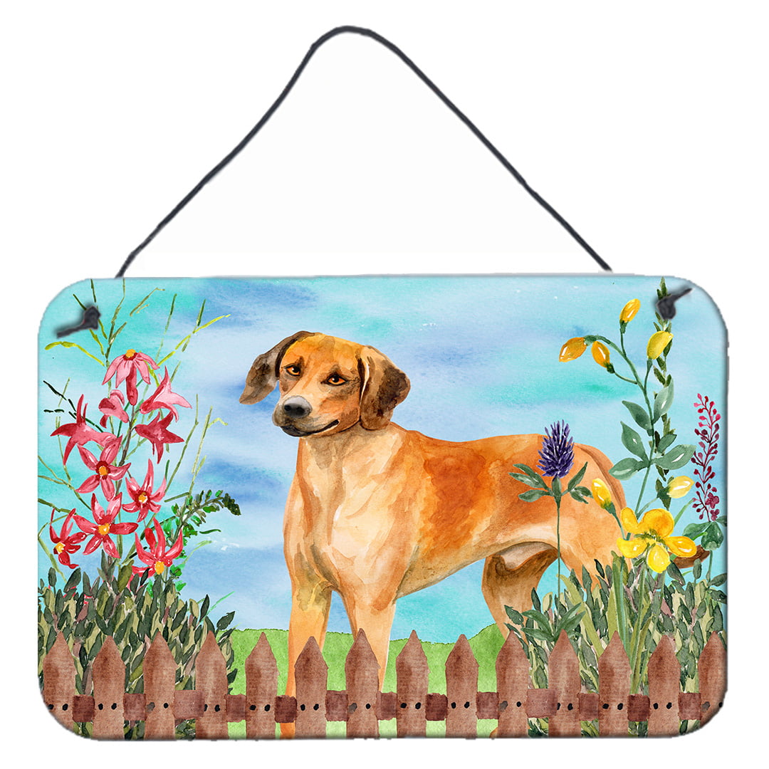 Rhodesian Ridgeback Spring Wall or Door Hanging Prints, 8 x 12 in.