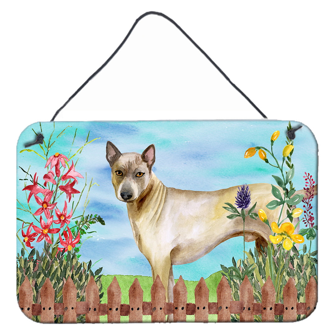 Thai Ridgeback Spring Wall or Door Hanging Prints, 8 x 12 in.