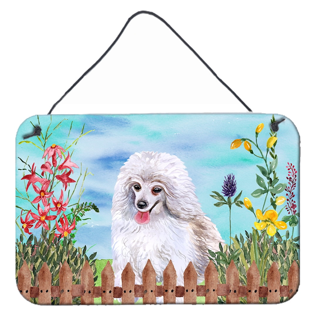 Medium White Poodle Spring Wall or Door Hanging Prints, 8 x 12 in.
