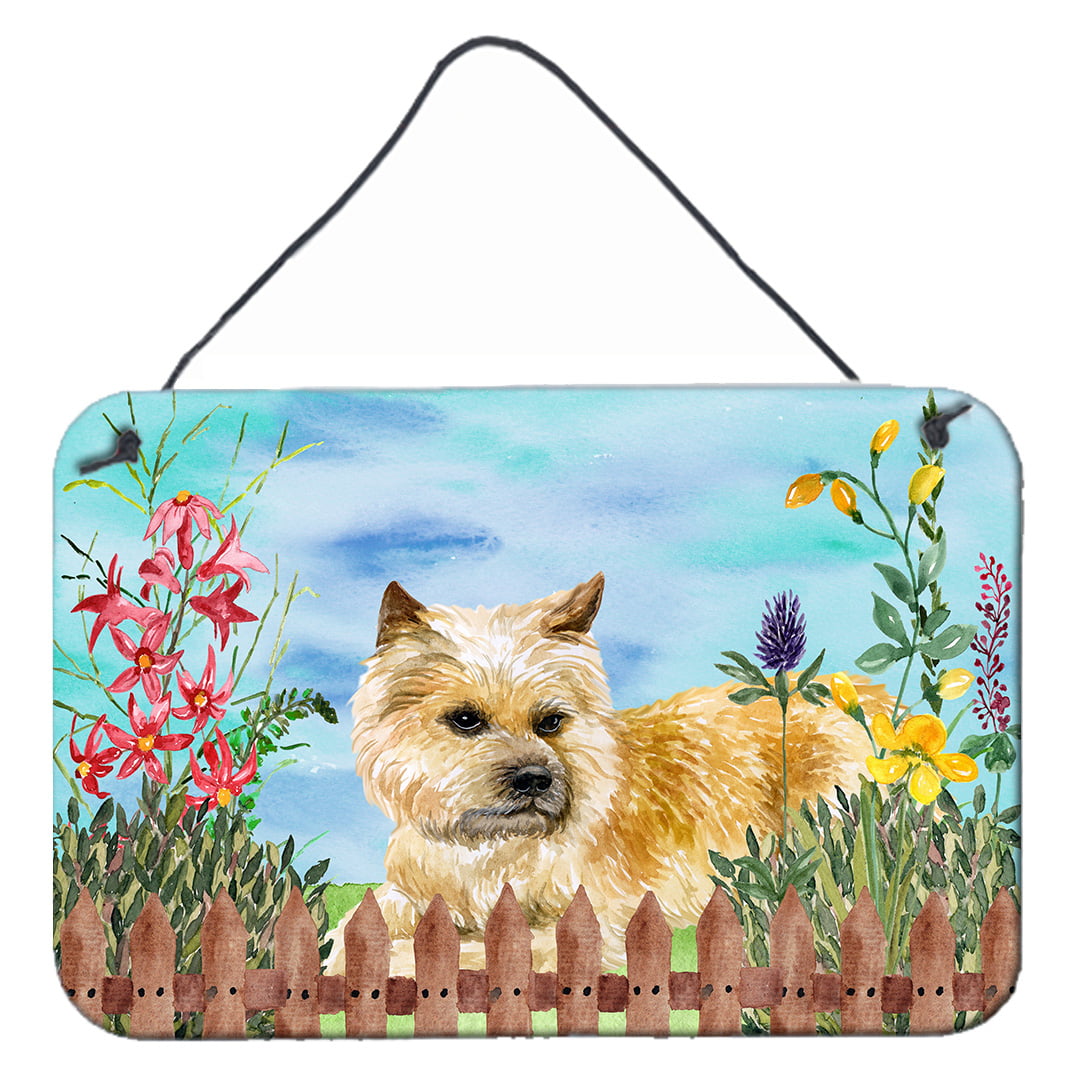 Cairn Terrier Spring Wall or Door Hanging Prints, 8 x 12 in.
