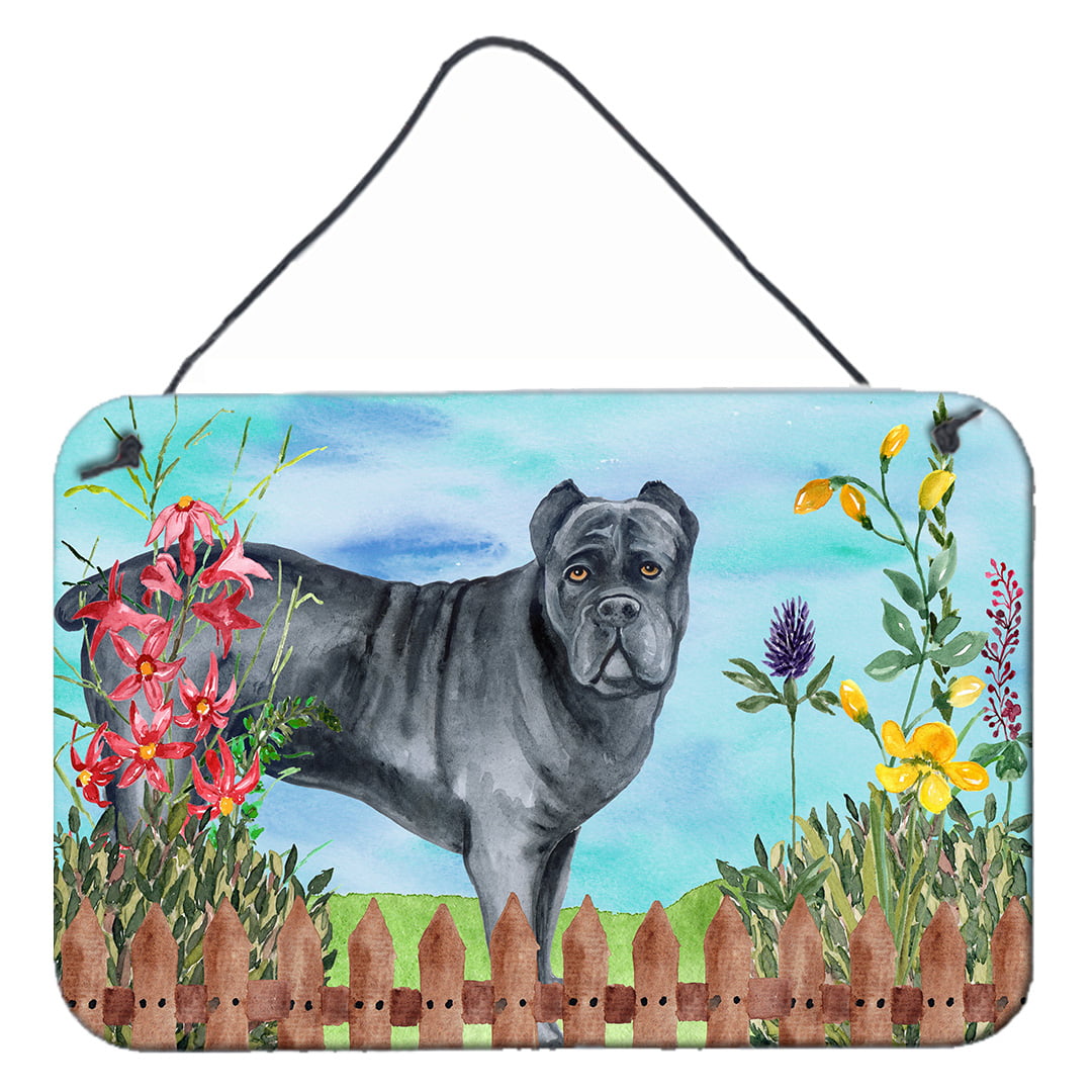Cane Corso Spring Wall or Door Hanging Prints, 8 x 12 in.