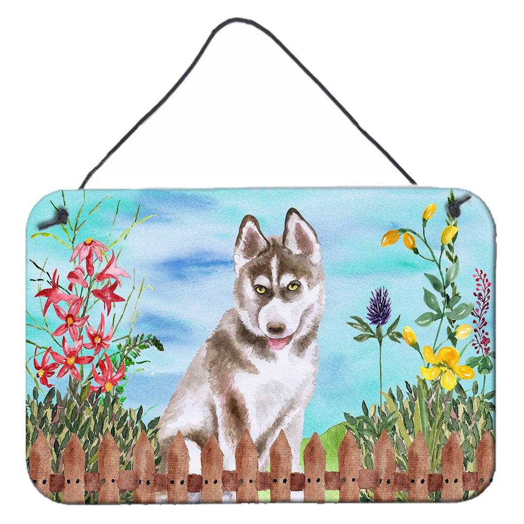 Siberian Husky Grey Spring Wall or Door Hanging Prints, 8 x 12 in.