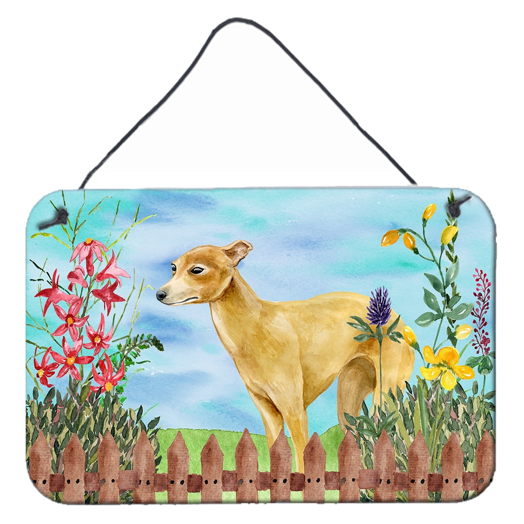 Italian Greyhound Spring Wall or Door Hanging Prints, 8 x 12 in.