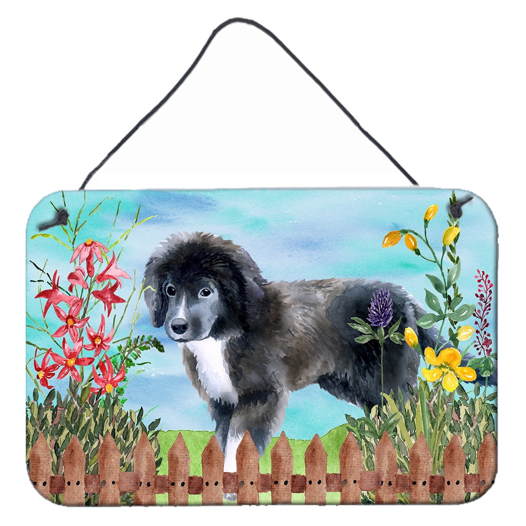 Newfoundland Puppy Spring Wall or Door Hanging Prints, 8 x 12 in.