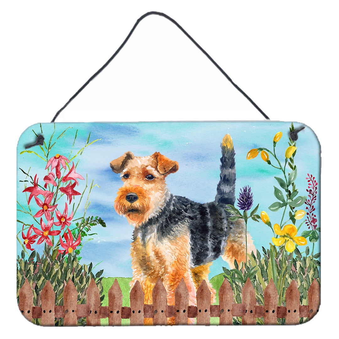 Welsh Terrier Spring Wall or Door Hanging Prints, 8 x 12 in.