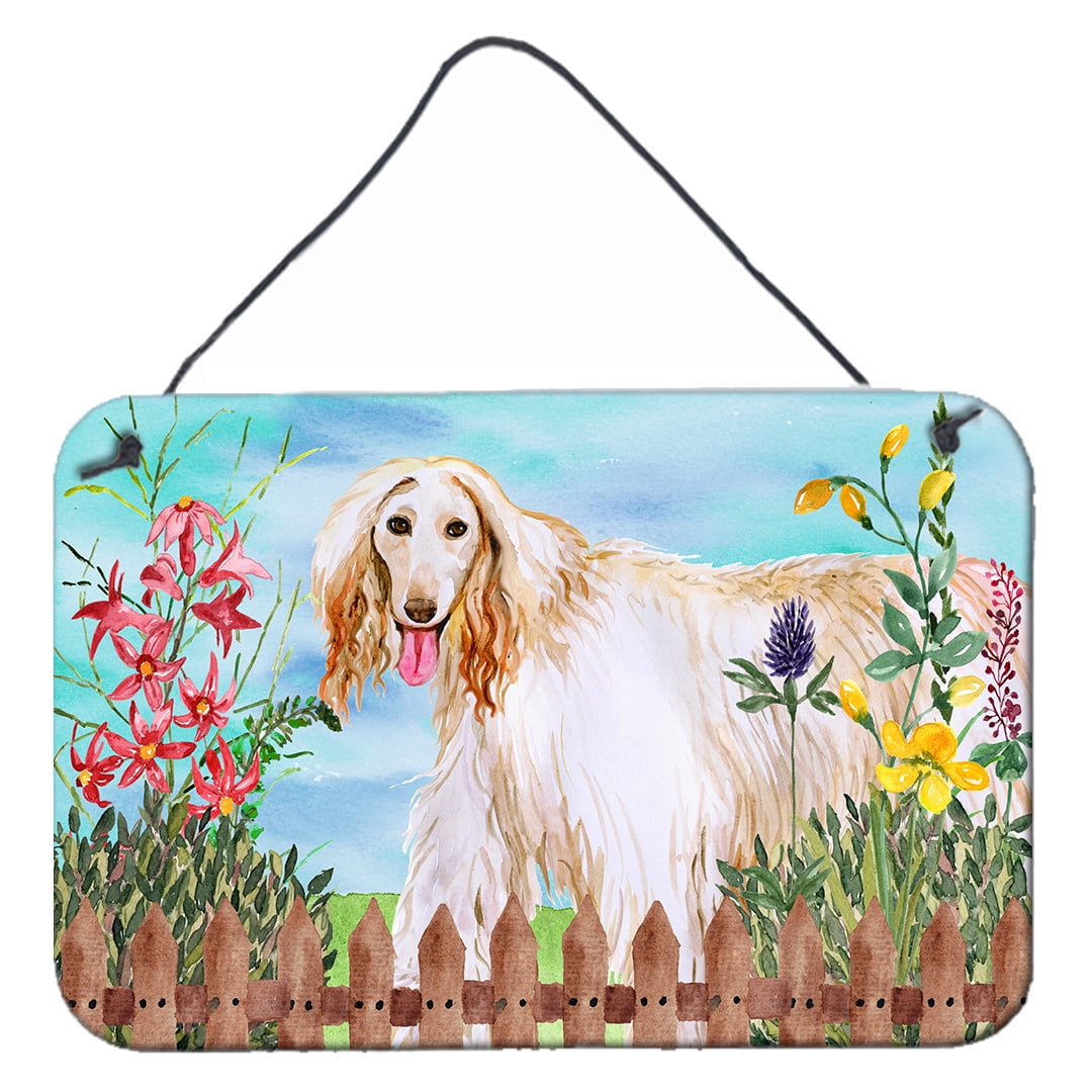 Afghan Hound Spring Wall or Door Hanging Prints, 8 x 12 in.