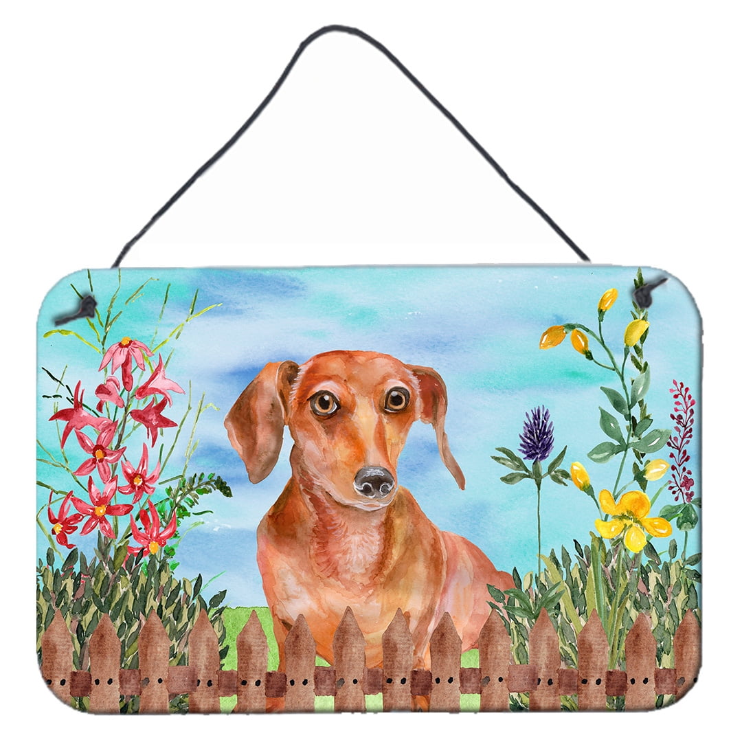 Red Dachshund Spring Wall or Door Hanging Prints, 8 x 12 in.