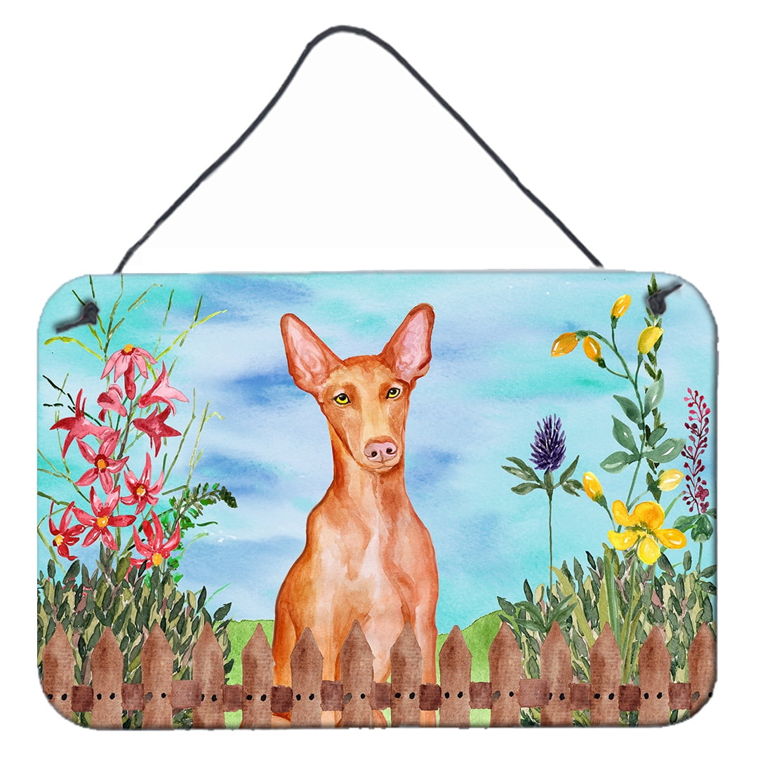 Pharaoh Hound Spring Wall or Door Hanging Prints, 8 x 12 in.