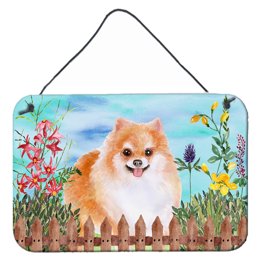 Pomeranian No.2 Spring Wall or Door Hanging Prints, 8 x 12 in.