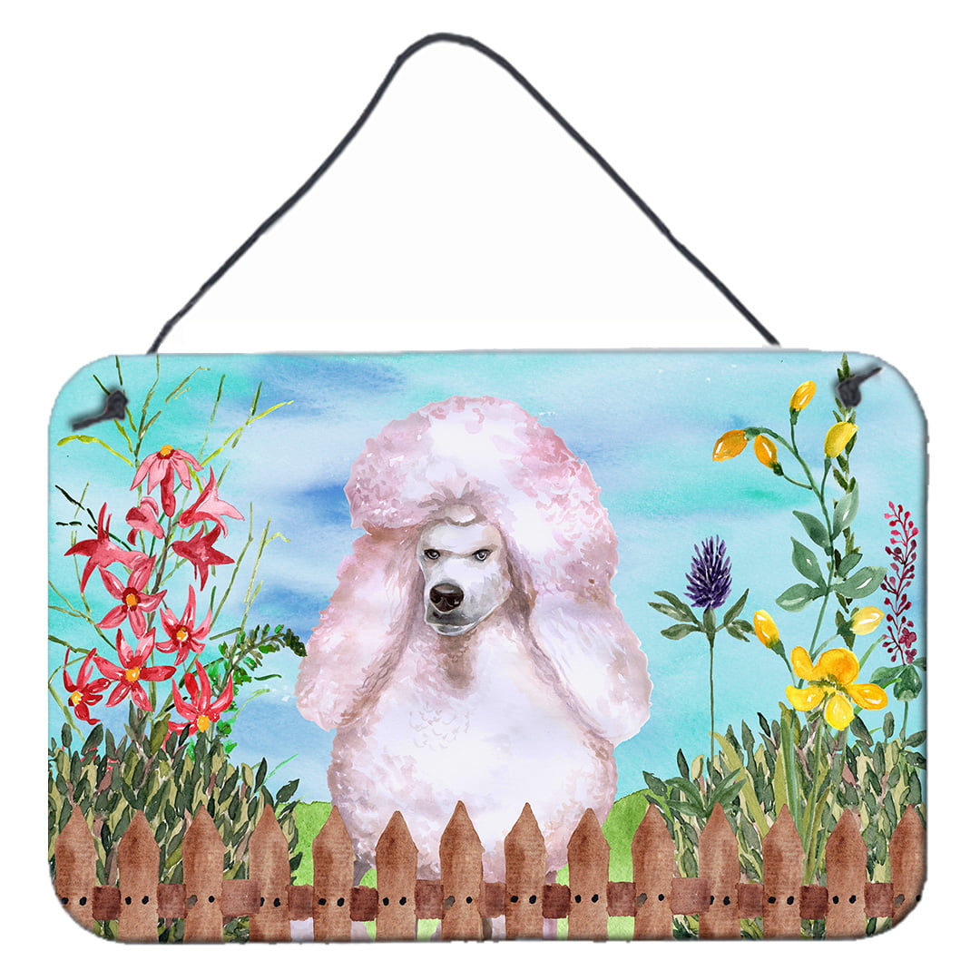 White Standard Poodle Spring Wall or Door Hanging Prints, 8 x 12 in.