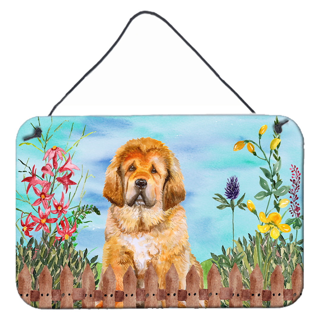Tibetan Mastiff Spring Wall or Door Hanging Prints, 8 x 12 in.