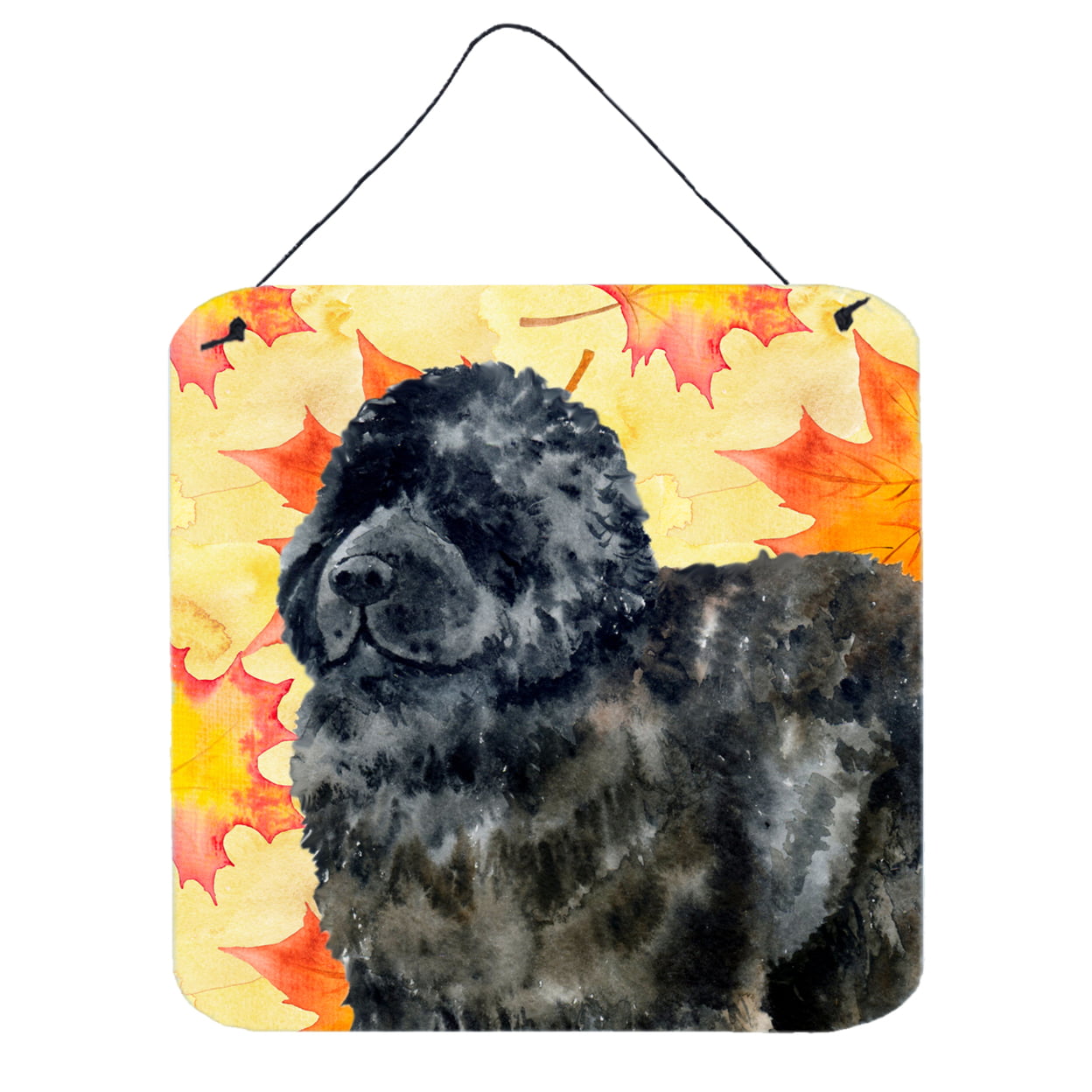 Newfoundland Fall Wall or Door Hanging Prints, 6 x 6 in.