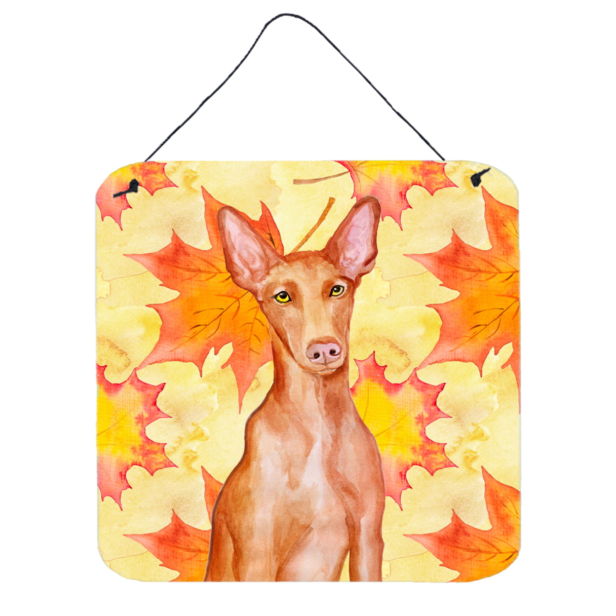 Pharaoh Hound Fall Wall or Door Hanging Prints, 6 x 6 in.