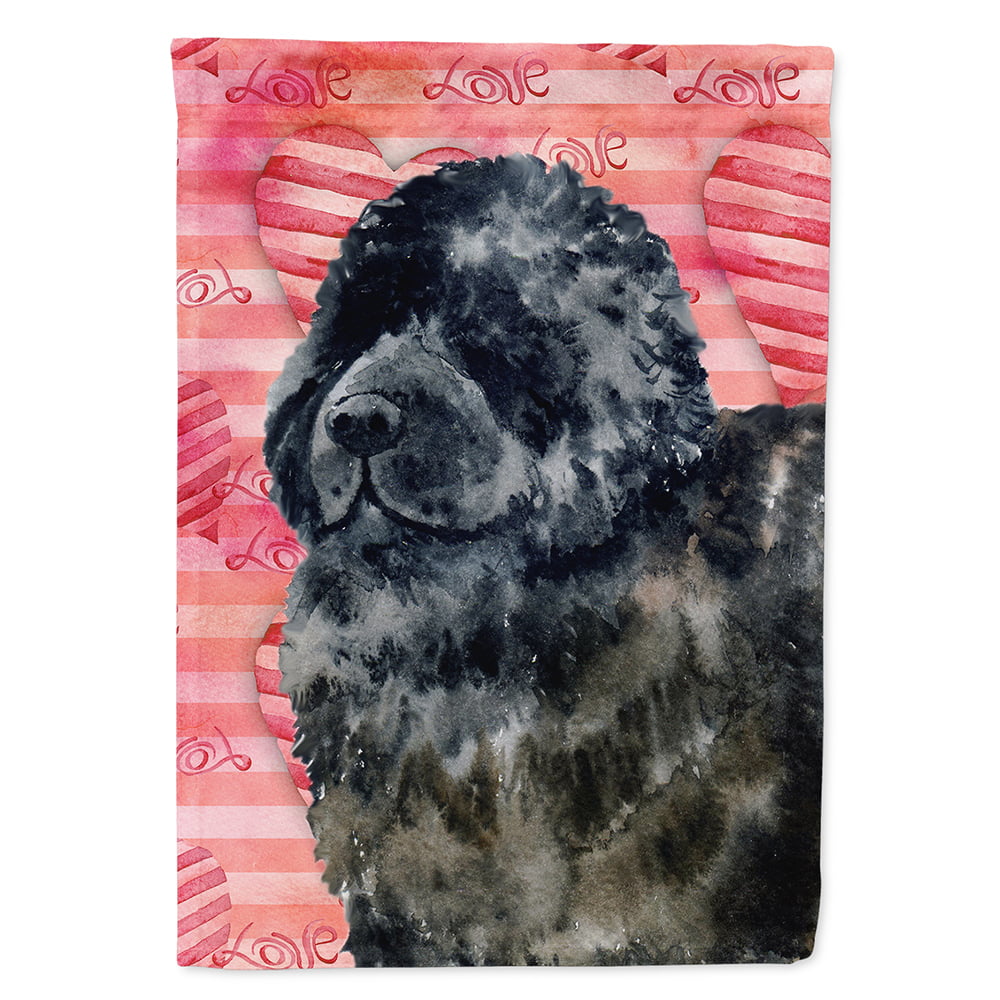 Newfoundland Love Flag Canvas - House Size