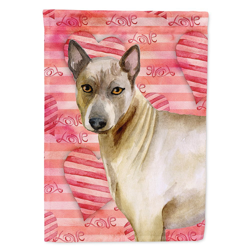 Thai Ridgeback Love Flag Canvas - House Size
