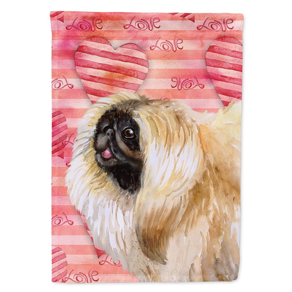 Pekingese Love Flag Canvas - House Size