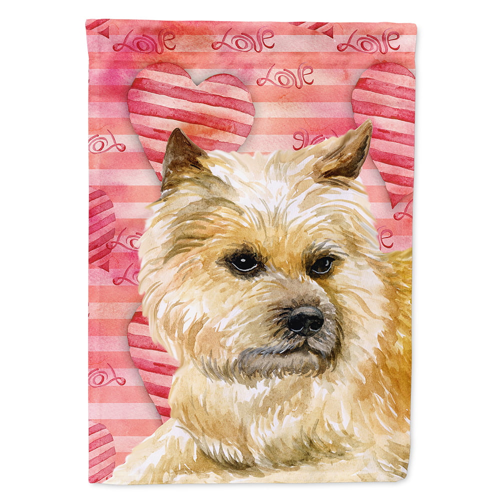 Cairn Terrier Love Flag Canvas - House Size