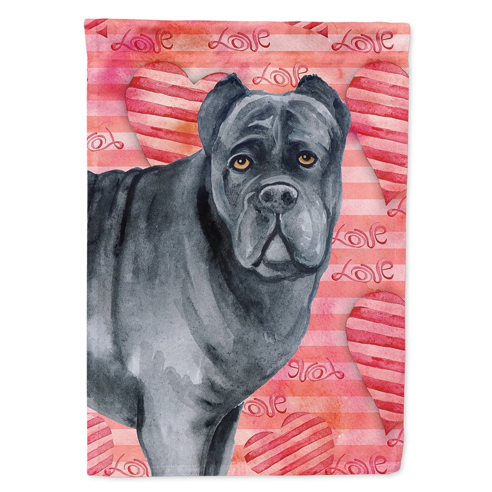 BB9781CHF Cane Corso Love Flag Canvas - House Size