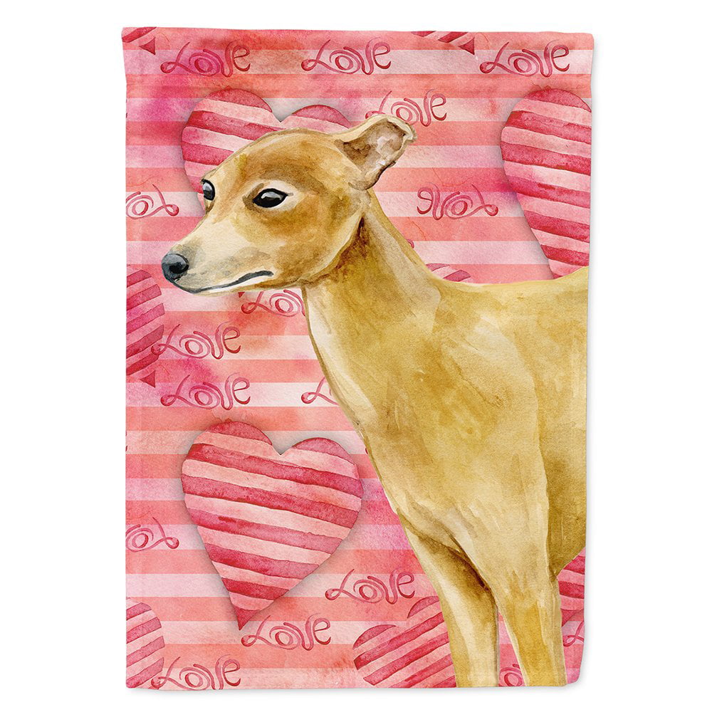 Italian Greyhound Love Flag Canvas - House Size