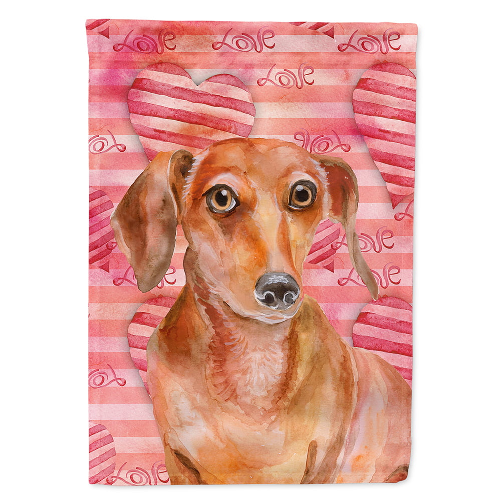 Red Dachshund Love Flag Canvas - House Size