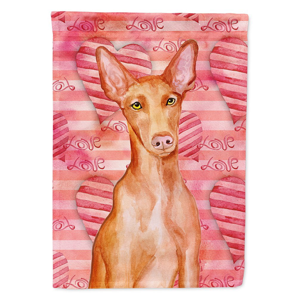 Pharaoh Hound Love Flag Canvas - House Size