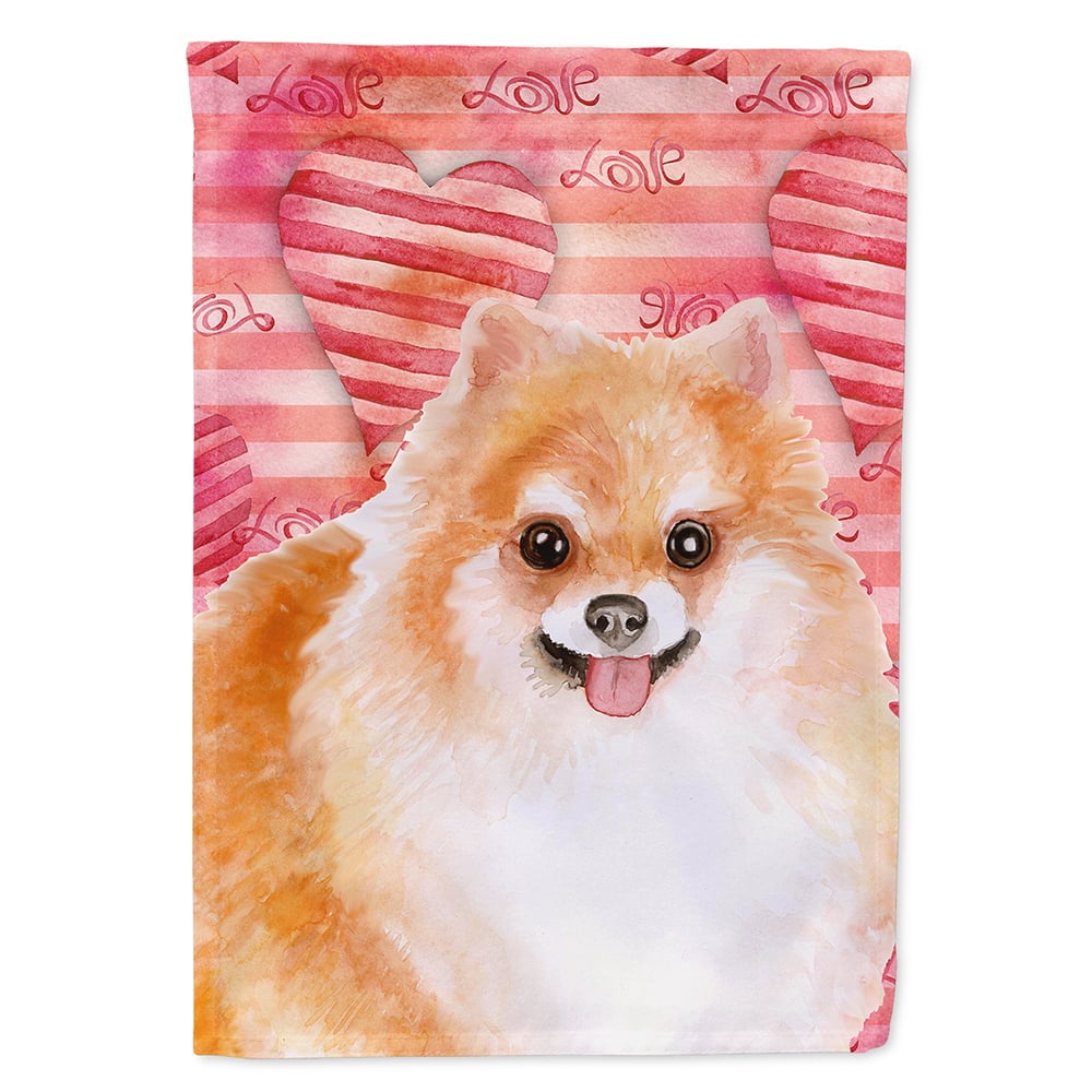 Pomeranian No. 2 Love Flag Canvas - House Size