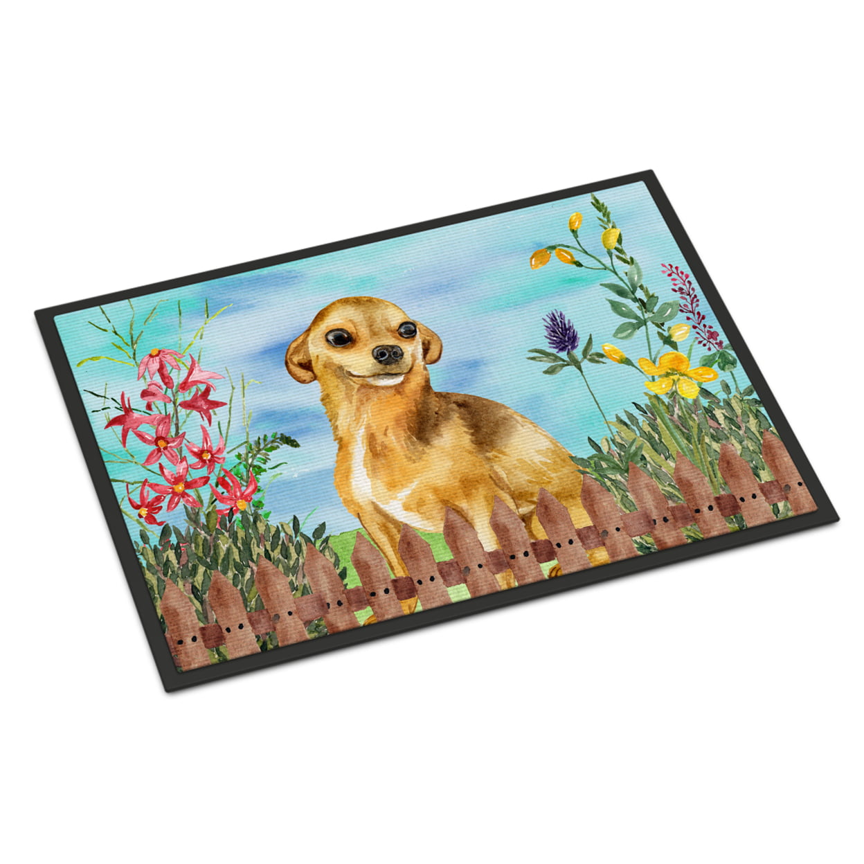 Chihuahua Spring Indoor or Outdoor Mat - 24 x 36 in.