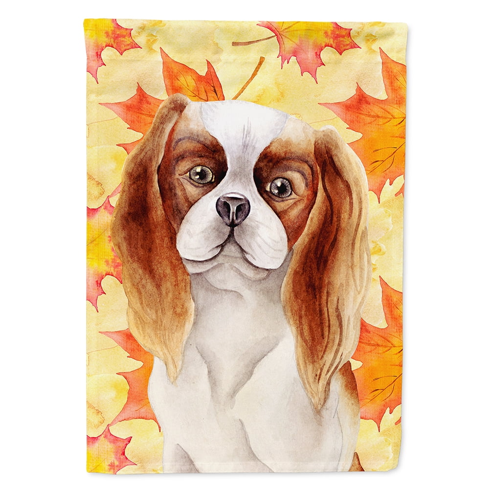CK1405GF Cavalier Spaniel Fall Flag - Garden Size