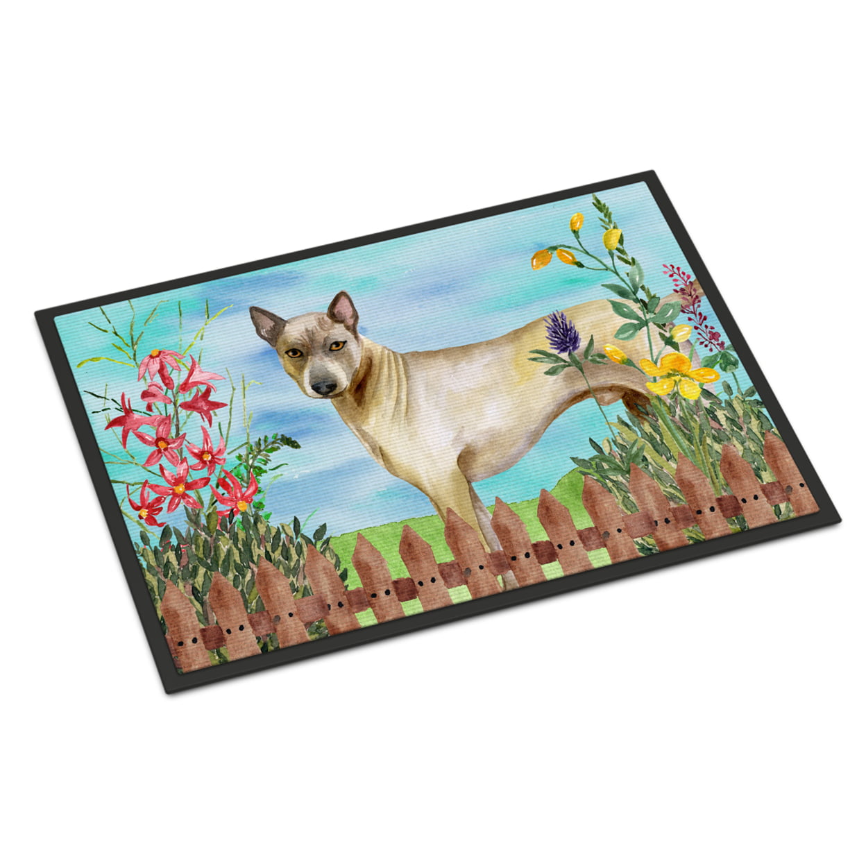 Thai Ridgeback Spring Indoor or Outdoor Mat - 24 x 36 in.