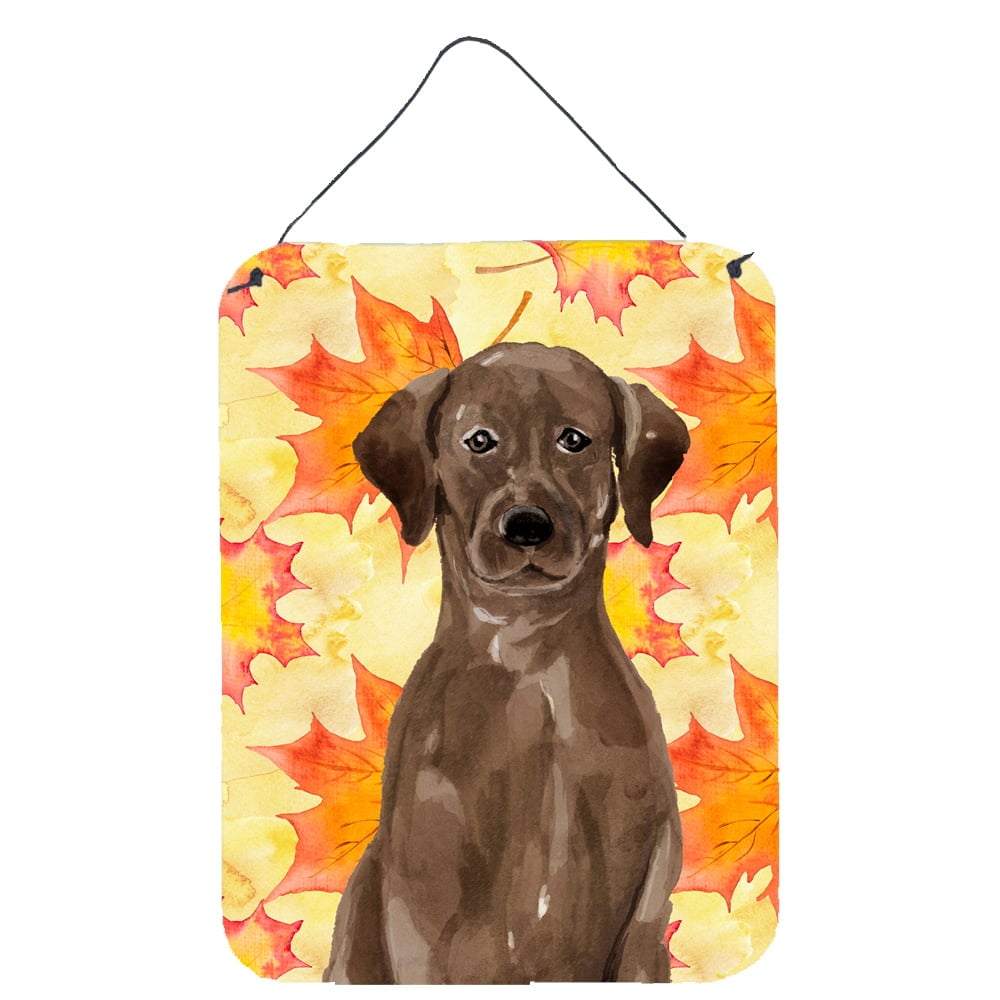 Picture of Carolines Treasures BB9505DS1216 Chocolate Labrador Fall Wall or Door Hanging Prints