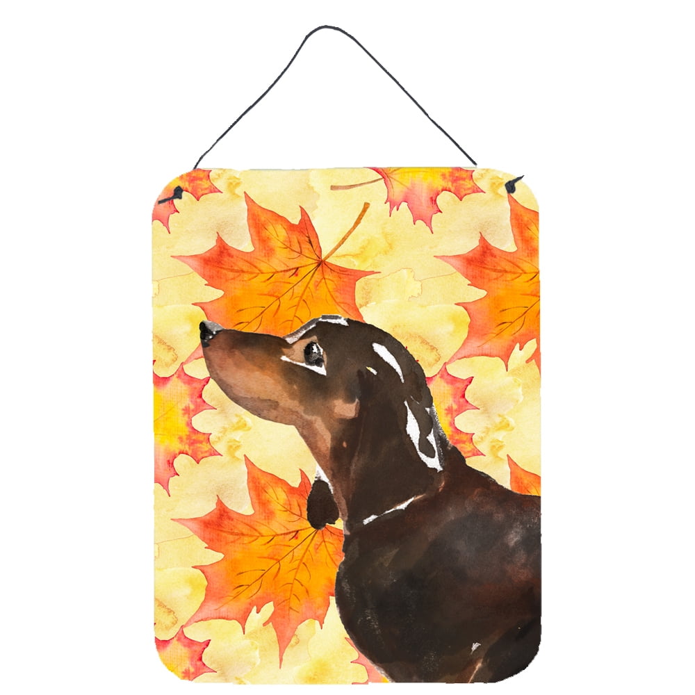 Picture of Carolines Treasures BB9510DS1216 Black & Tan Dachshund Fall Wall or Door Hanging Prints