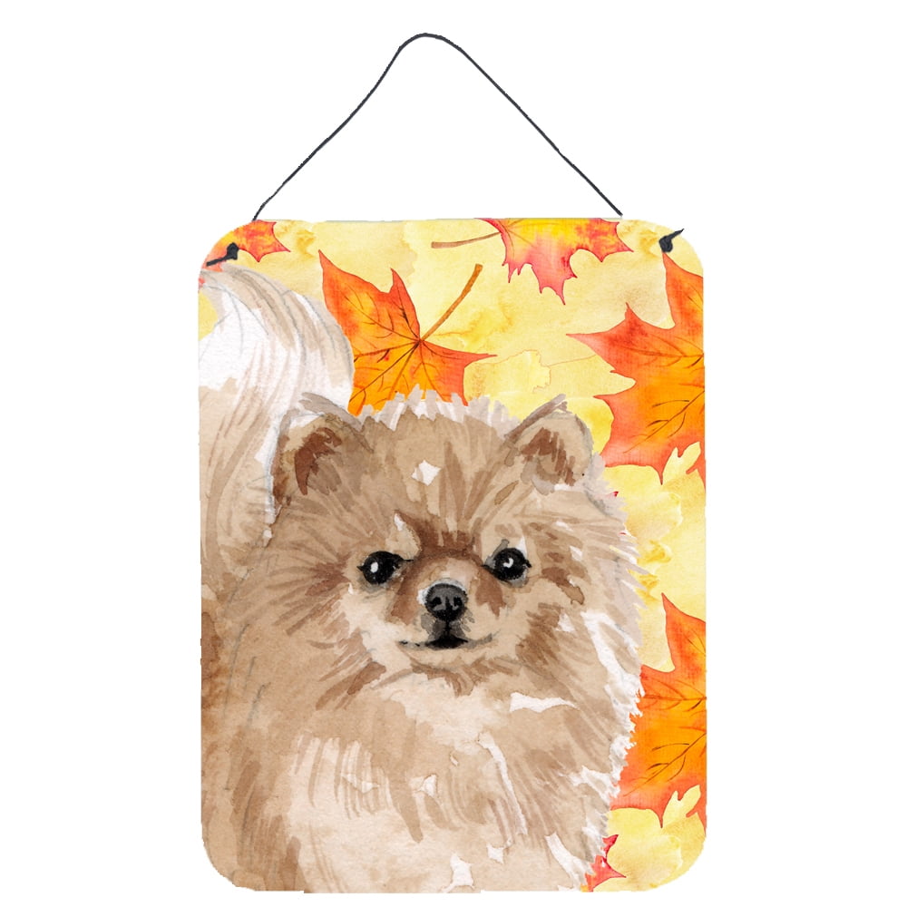 Picture of Carolines Treasures BB9530DS1216 Pomeranian Fall Wall or Door Hanging Prints