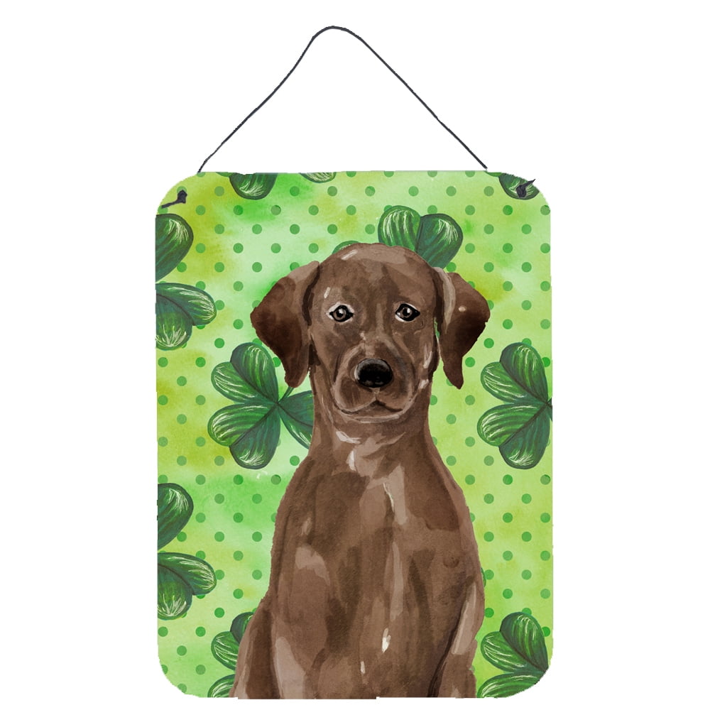 Picture of Carolines Treasures BB9540DS1216 Chocolate Labrador St. Patricks Wall or Door Hanging Prints