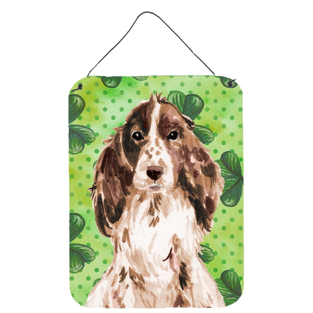 Picture of Carolines Treasures BB9552DS1216 Brown Parti St. Patricks Wall or Door Hanging Prints