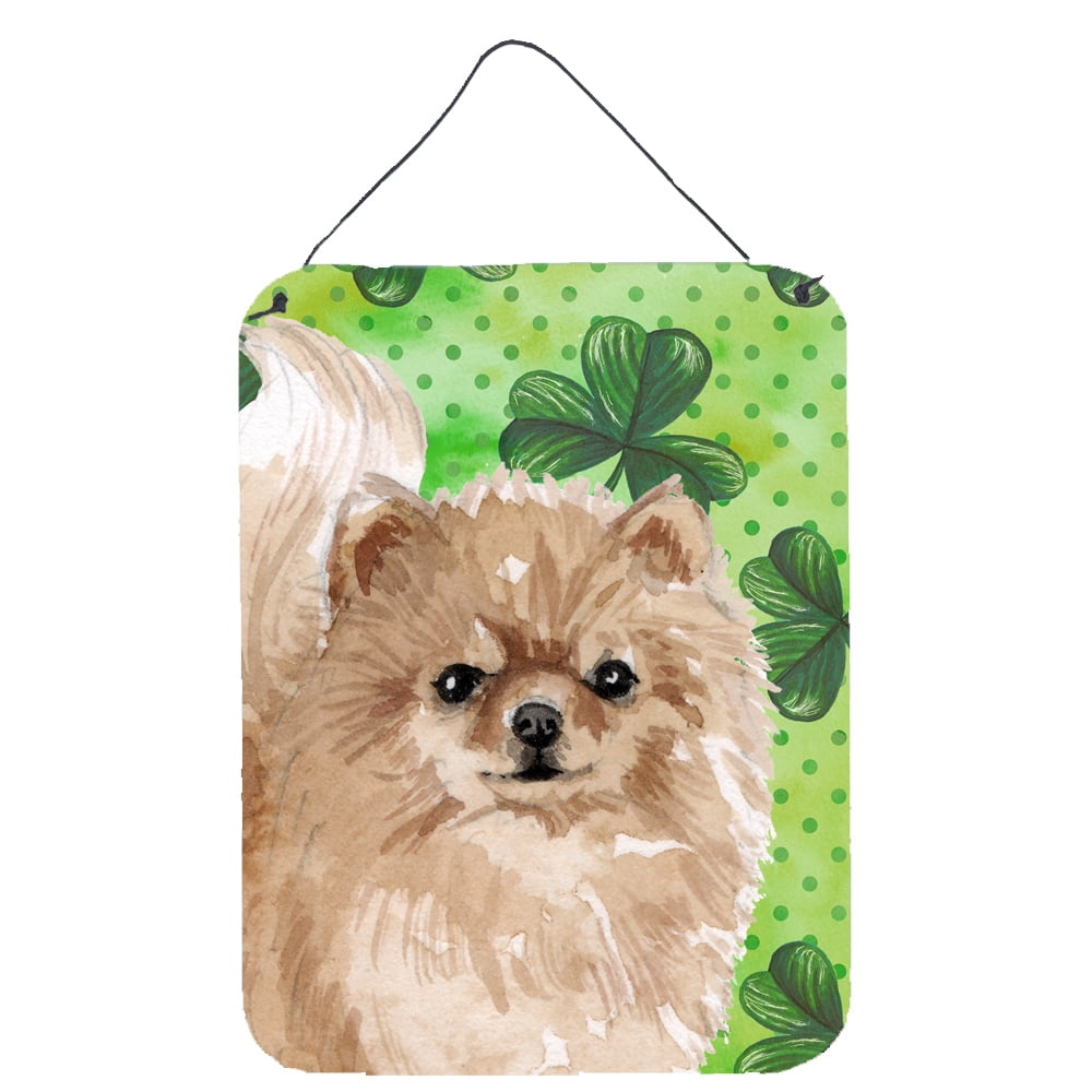 Picture of Carolines Treasures BB9565DS1216 Pomeranian St. Patricks Wall or Door Hanging Prints