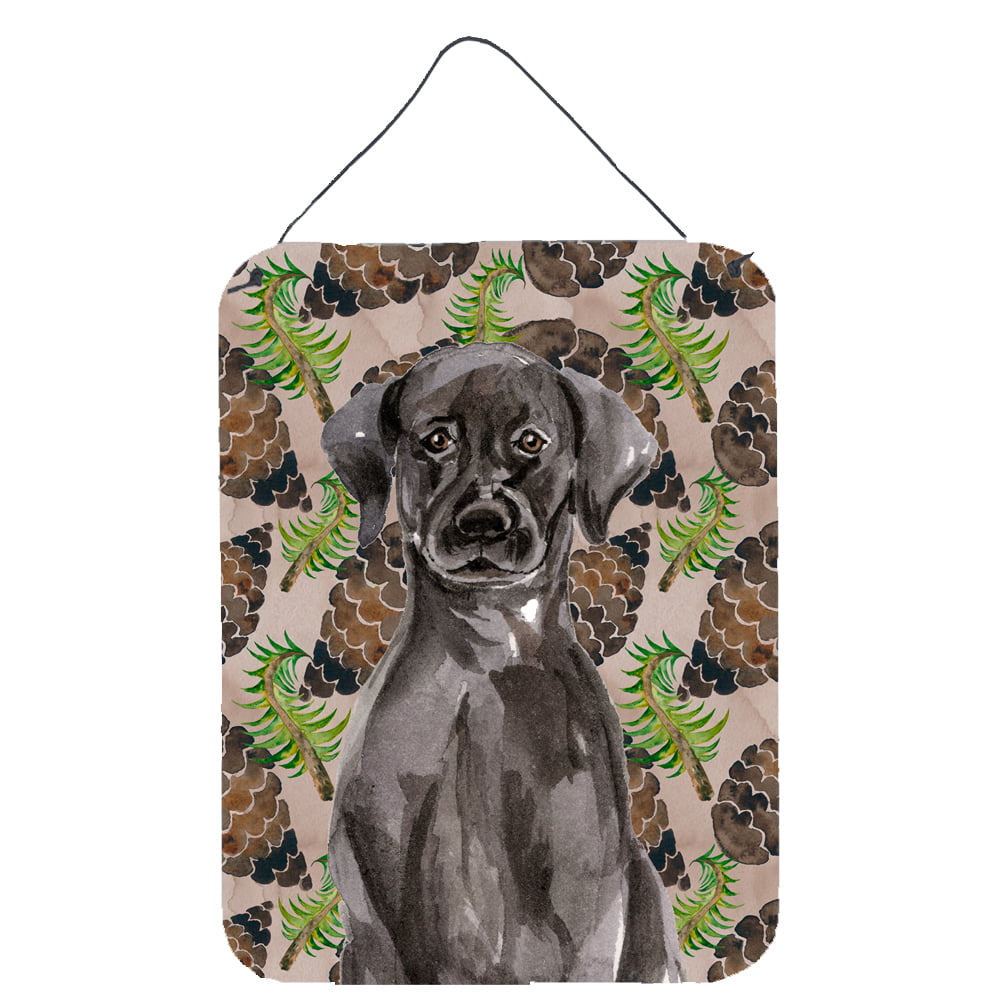 Picture of Carolines Treasures BB9573DS1216 Black & Labrador Pine Cones Wall or Door Hanging Prints