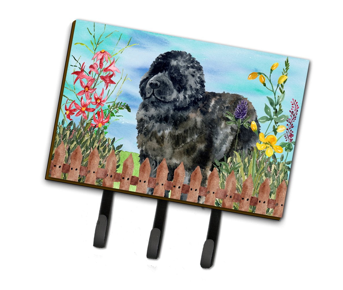 CK1233TH68 Newfoundland Spring Leash or Key Holder