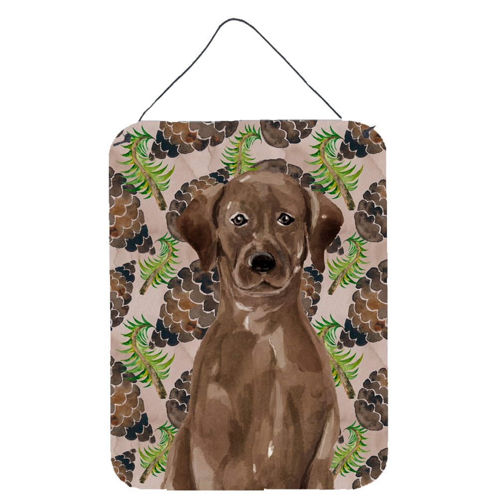 Picture of Carolines Treasures BB9575DS1216 Chocolate Labrador Pine Cones Wall or Door Hanging Print