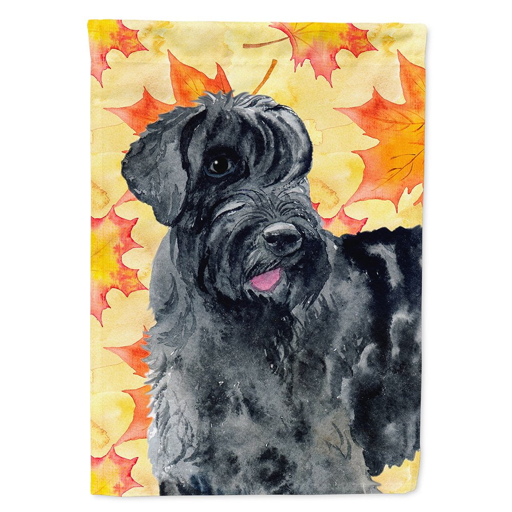 BB9921CHF Giant Schnauzer Fall Flag - Canvas House Size