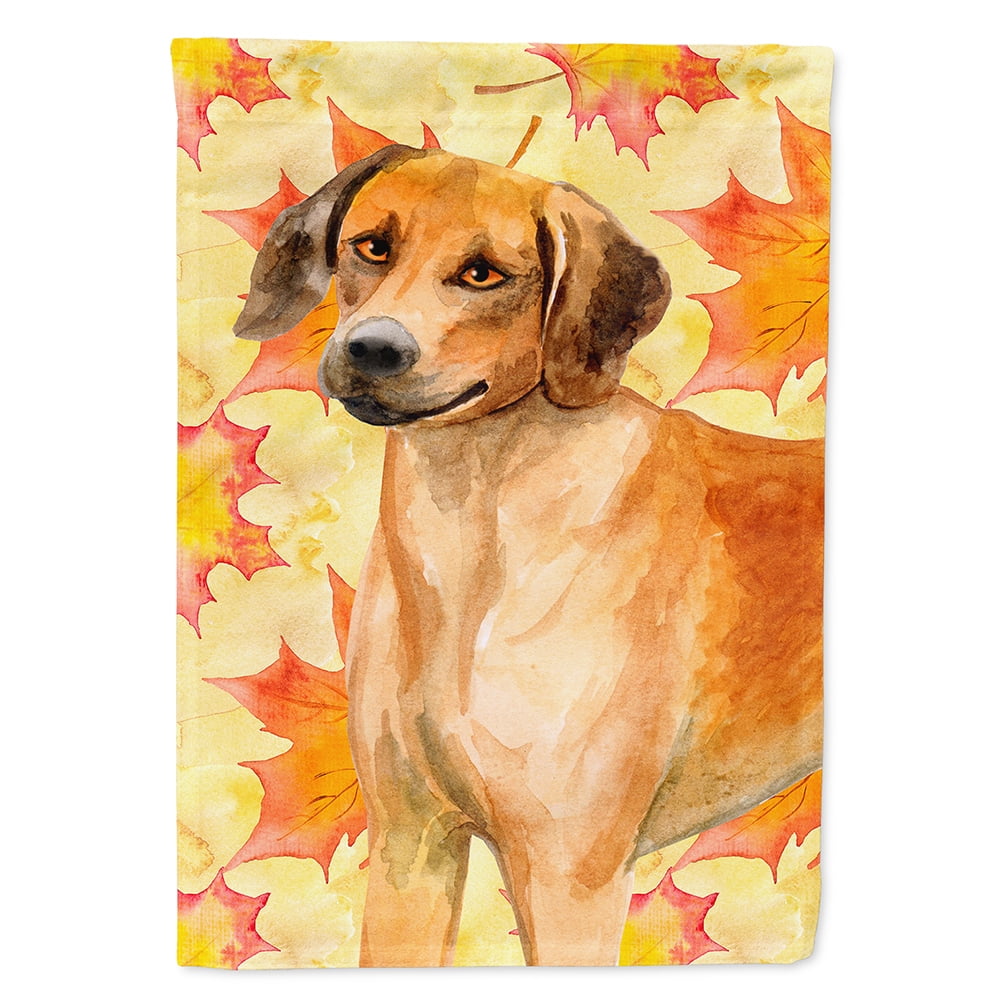 BB9937CHF Rhodesian Ridgeback Fall Flag - Canvas House Size