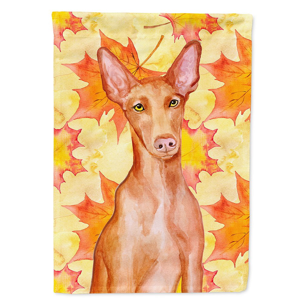Pharaoh Hound Fall Flag - Canvas House Size