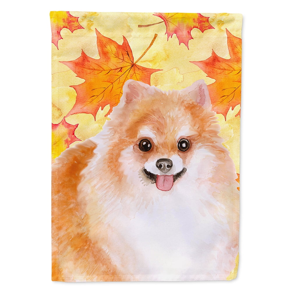 Pomeranian No.2 Fall Flag - Canvas House Size