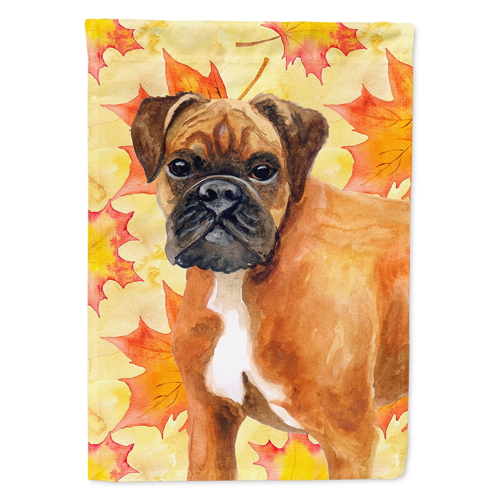 BB9901GF German Boxer Fall Flag - Garden Size