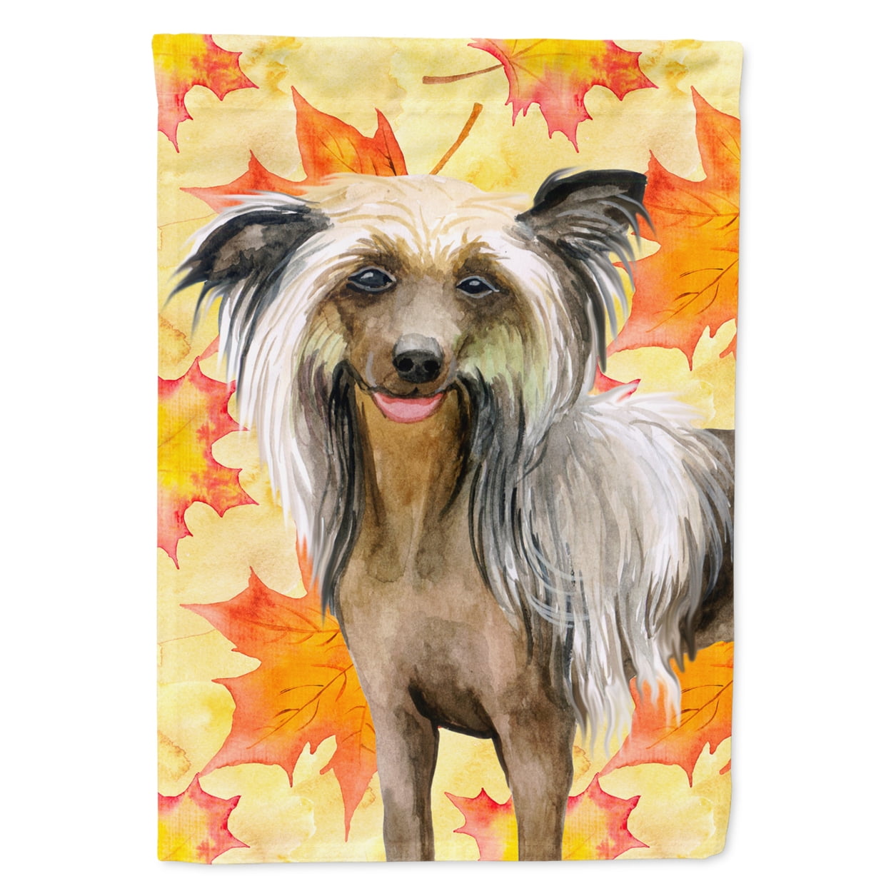 BB9920GF Chinese Crested Fall Flag - Garden Size