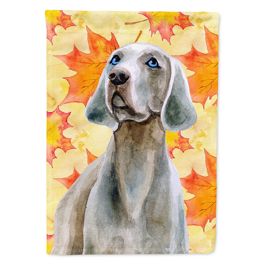 BB9935GF Weimaraner Fall Flag - Garden Size